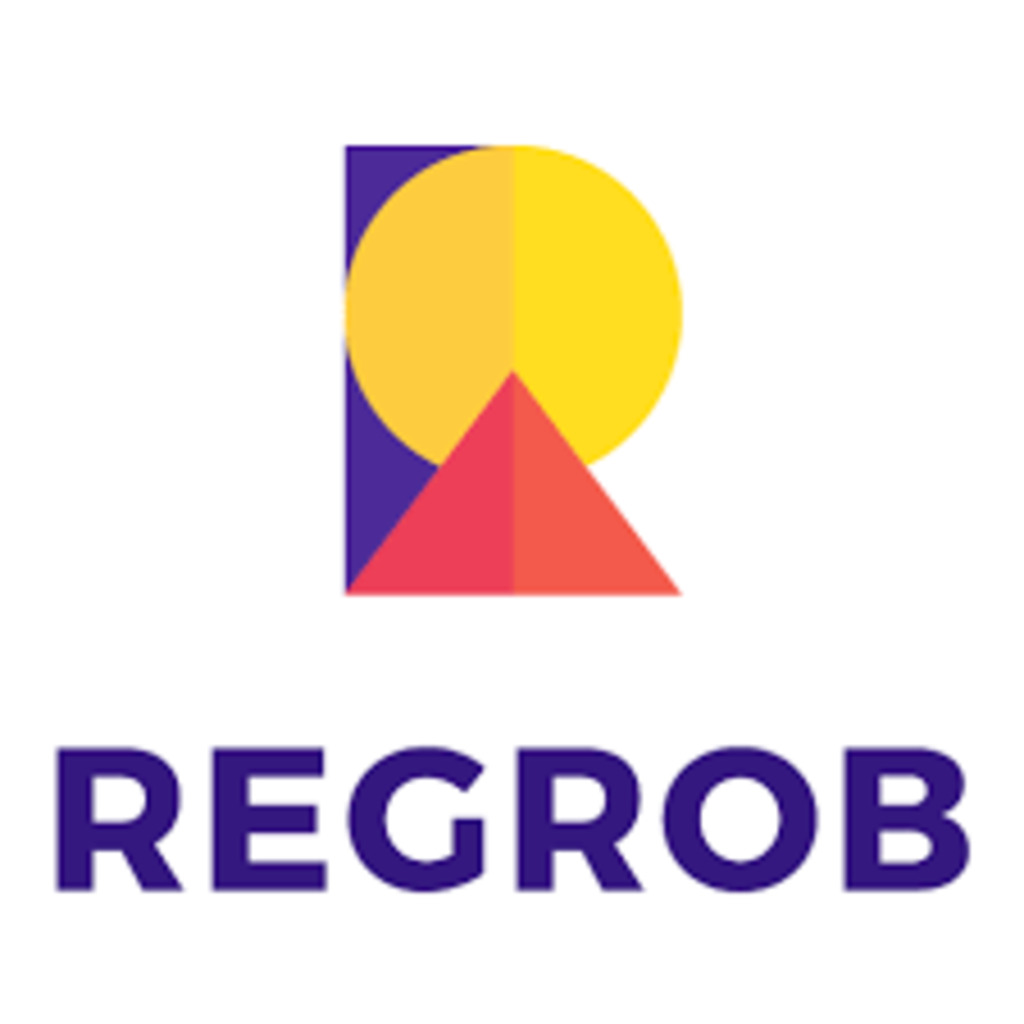 CRM Analyst at Regrob Infrastructure Private Limited, Noida